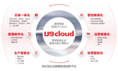 軟件產(chǎn)品的互聯(lián)網(wǎng)銷售 策略、優(yōu)勢與挑戰(zhàn)