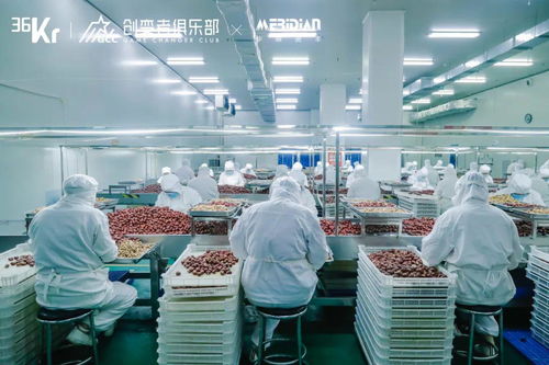 源頭工廠 消費(fèi)產(chǎn)業(yè)增長的韌性引擎——互聯(lián)網(wǎng)銷售新業(yè)態(tài)下的產(chǎn)業(yè)帶計(jì)劃